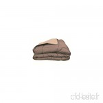Couette bicolore Polyester Taupe/Lin 220 x 240 cm - POYET MOTTE - Gamme CALGARY - B00SKZTT1I
